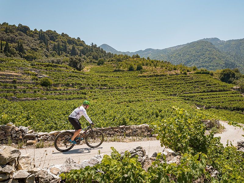 mountain-bike-samos-explore